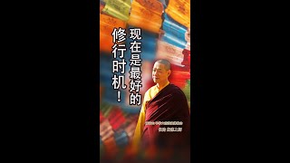 观音山 中华大悲法藏佛教会住持  龙德严净仁波切：现在是最好的修行时机！