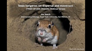 Wildlife Diversity Webinar | Texas Kangaroo Rat Dispersal and Movement