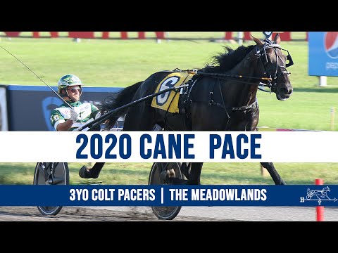 2020 Cane Pace - Tall Dark Stranger
