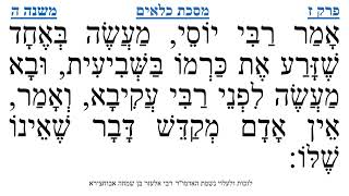 מסכת כלאים פרק ז משנה ה