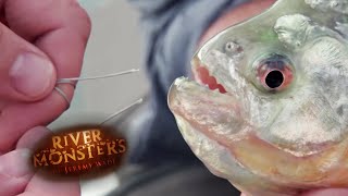 Can a Piranha Bite Through Steel? - River Monsters