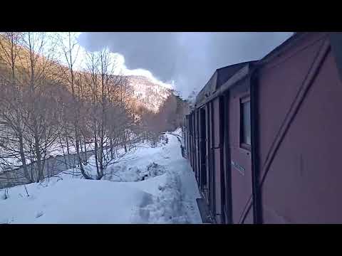 Ricaedy-Valea Vaserului