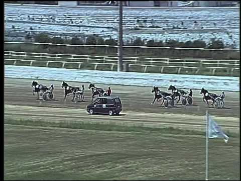 Trotto 14/06/2015 - 1° corsa