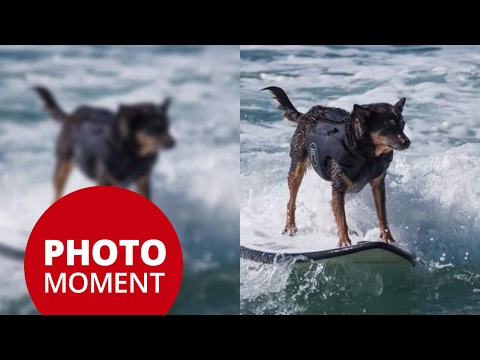 DFD (Depth from Defocus) on GH5 Explained — PhotoJoseph’s Photo Moment 2017-03-06