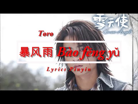 Toro -  Bào fēng yǔ 暴风雨 Lyrics Pinyin