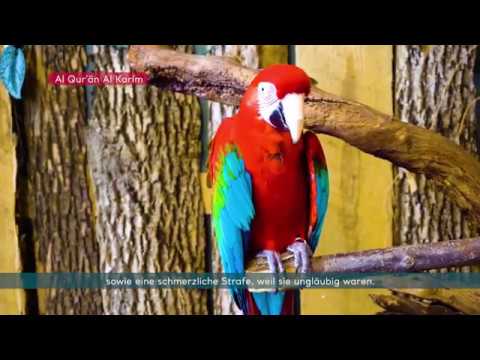 Koran Hörbch deutsch Sure 6 Al-An’am (Das Vieh)