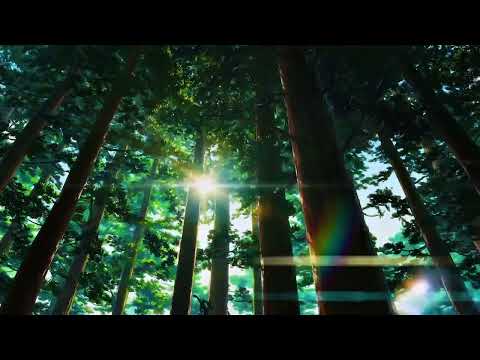 Changes (Slowed + Reverb) - Faul & Wad Ad vs PNAU