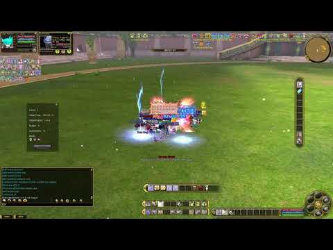 Insanity FlyFF Colo Medium Tank