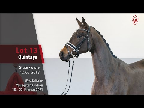 Youngster Auktion 18. - 22. Februar 2021 Lot 13 Quintaya Stute v. Quantensprung - Decapentry