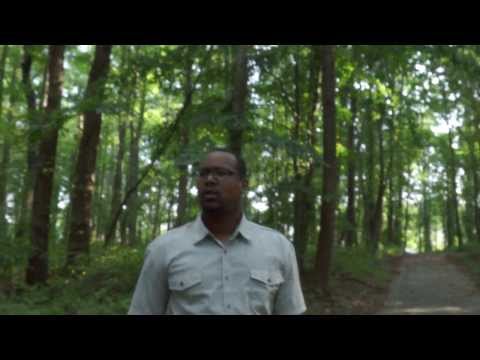 Big Lean - Lost And Turnt