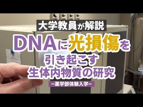 表現文化学科 DNAに光損傷を引き起こす生体内物質の研究【体験入学＆研究室公開】