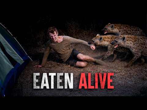 The Deadliest Hyena Attacks