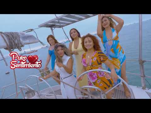 Puro Sentimiento - Recuerdos (Versión 2025)