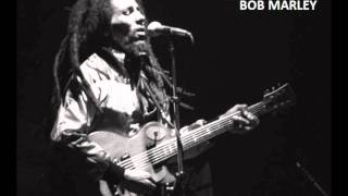07.Bob Marley Keep On Skanking