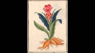 Cyborg Senshi Theme -  Dare Ga Tata Kau