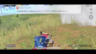 ひと段落したので久しぶりにPUBGでのんびりするンゴ