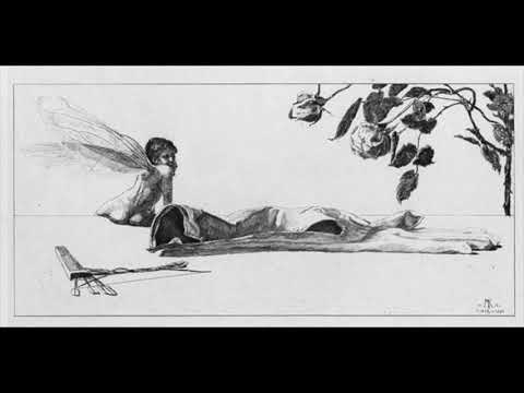 Sigfrid Karg-Elert: Impressions exotique Op. 134 III. Colibri