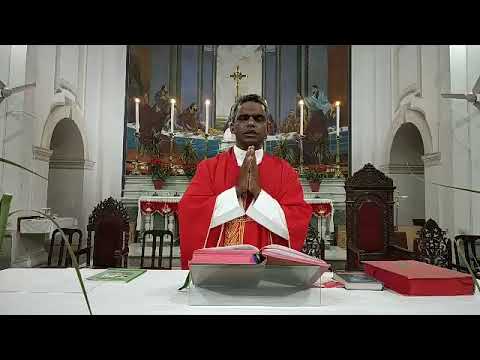 Palm Sunday (Hindi) Holy Mass, 05.04.2020