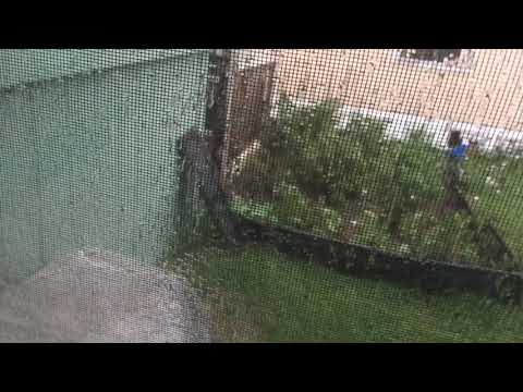 My parents farm (also there WAS a thunderstorm)