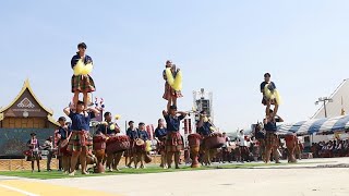 สุดยอด กลองยาวศิลป์อีสาน งานมหกรรมผู้ไทนานาชาติ อำเภอเขาวง จังหวัดกาฬสินธุ์ วันที่