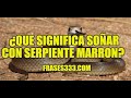 Significado de Soñar con Serpiente Marrón - Serpiente Marrón en un Sueño