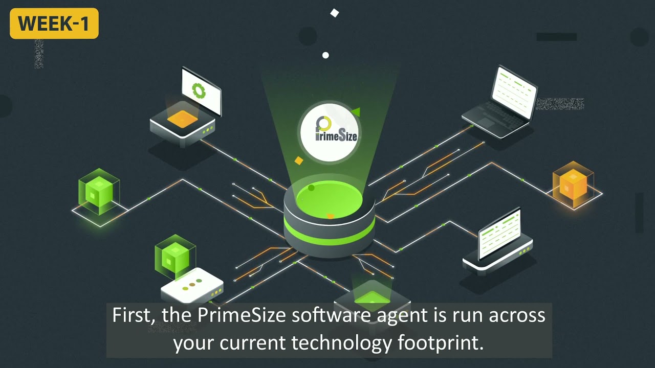 If a data analysis tool could provide 30% or more in IT cost savings over 12 months, would you be interested? Introducing Primesize.