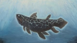 coelacanth/no-years teaser