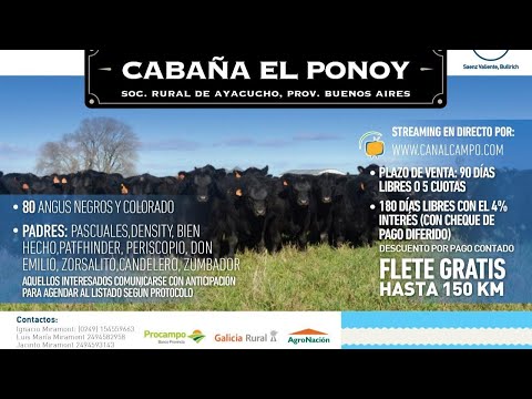 SVB REMATE "CABAÑA EL PONOY"