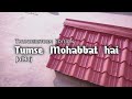 Tumse Mohabbat Hai Lofi Slowed And Reverb Remix JalRaj Original
