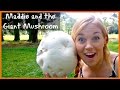 Maddie And The Giant Mushroom Maddie Moate