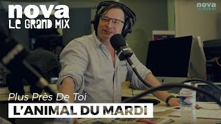 Le fffoufff, l’animal du mardi de François Rollin | Plus Près De Toi