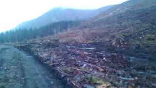 preview picture of video 'Forest removal Donard Forest Newcastle'
