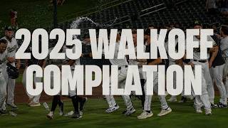Every Walk-Off Win | Sacramento River Cats 2025 Season Highlights