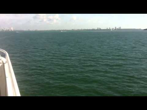 Boris Werner | ship of fools | WMC2011