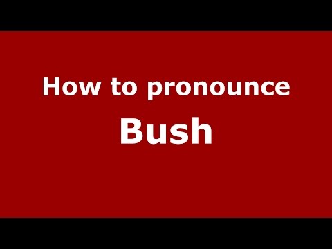 How to pronounce Bush