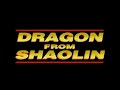 Dragon from Shaolin (1996) Trailer