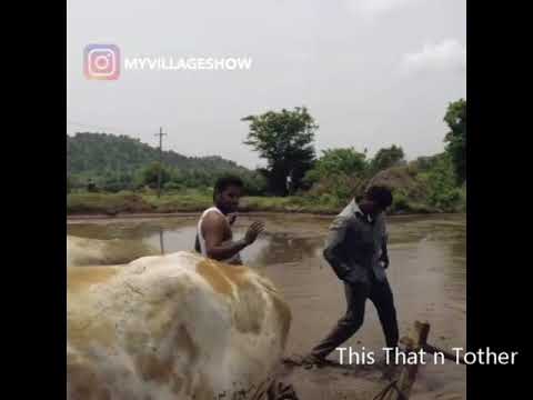 Best Ever KiKi Challenge Indian Farmers with Cows August 2018