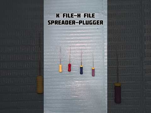 K File vs H File vs Plugger vs Spreader #dental #rct
