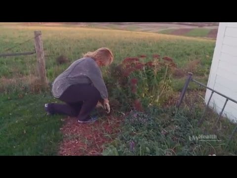 Minimally Invasive Spinal Fusion-Anterior Lumbar Interbody Fusion (ALIF)