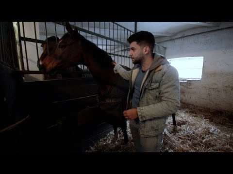 Minden napra lovaskultúra - Visszatértünk, pedig el sem mentünk! (2021)