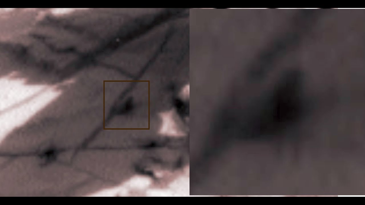 Mars yüzeyinde böcek var iddiası [VİDEO]