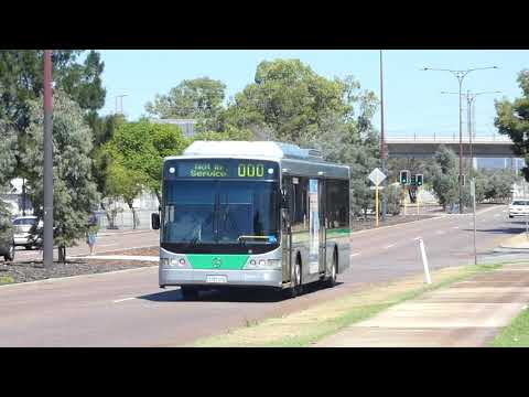 Transperth Mercedes-Benz OC500LE (Volgren CR228L) TP1370 @ Sevenoaks Street,Cannington