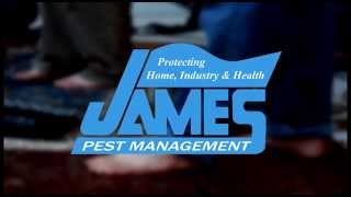 Meet Me In Memphis Live Music Calendar - Week of 2-24-2015