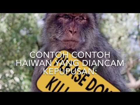 Pemeliharaan dan pemuliharaan SKS7 -Nuryn and Iffah