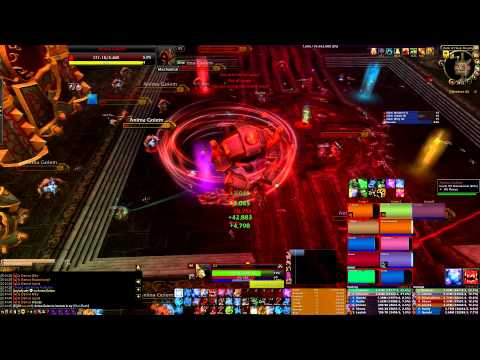 overrated vs Dunkler Animus NHC 10er pov: Feral Tank (Dark Animus)