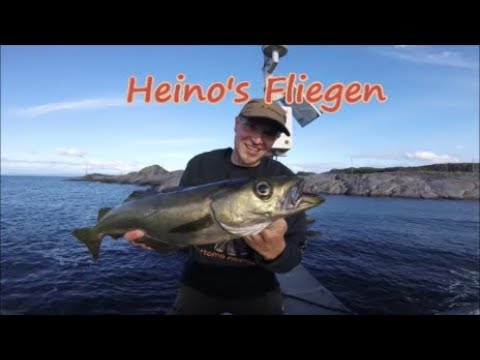 Uferangeln in Norwegen - Test von Heino's Fliegen am Fährhafen