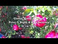 Classic Jamie Danny Kim Delaney Price Is Right 4 16 2004