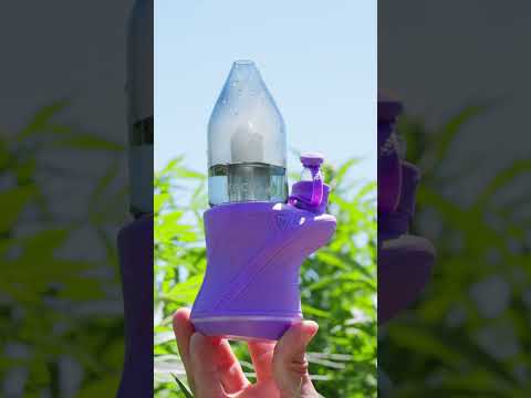 Focus V Carta Sport Comin in HOT 🔥🔥