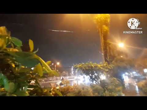 ||Ritwika's bloggg||. hello guyz kothay gelam gach kinta ?R  ki gach kinlam..watch the full video😎❤