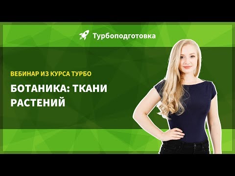 Ботаника. Ткани растений